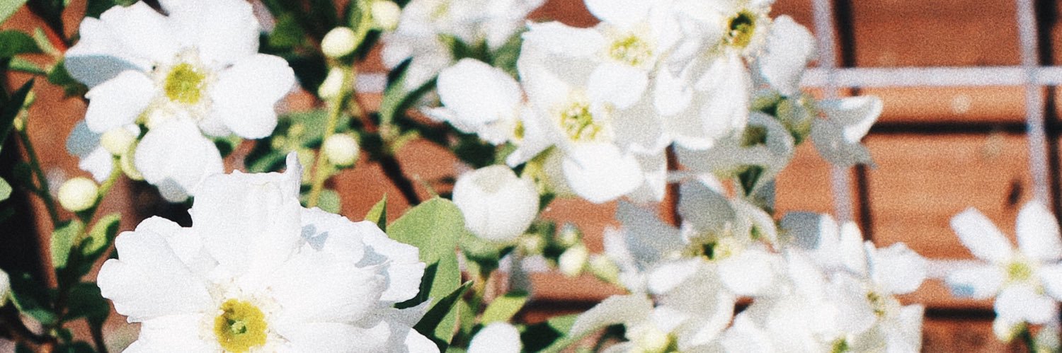 tarasuperr's profile banner image