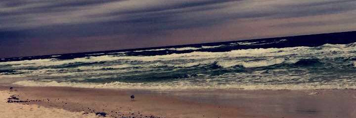 marionegrier's profile banner image