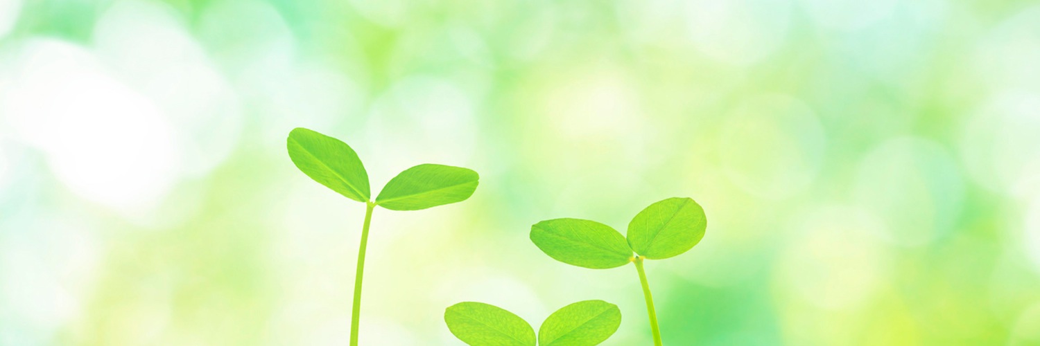 いちか🦖1y banner