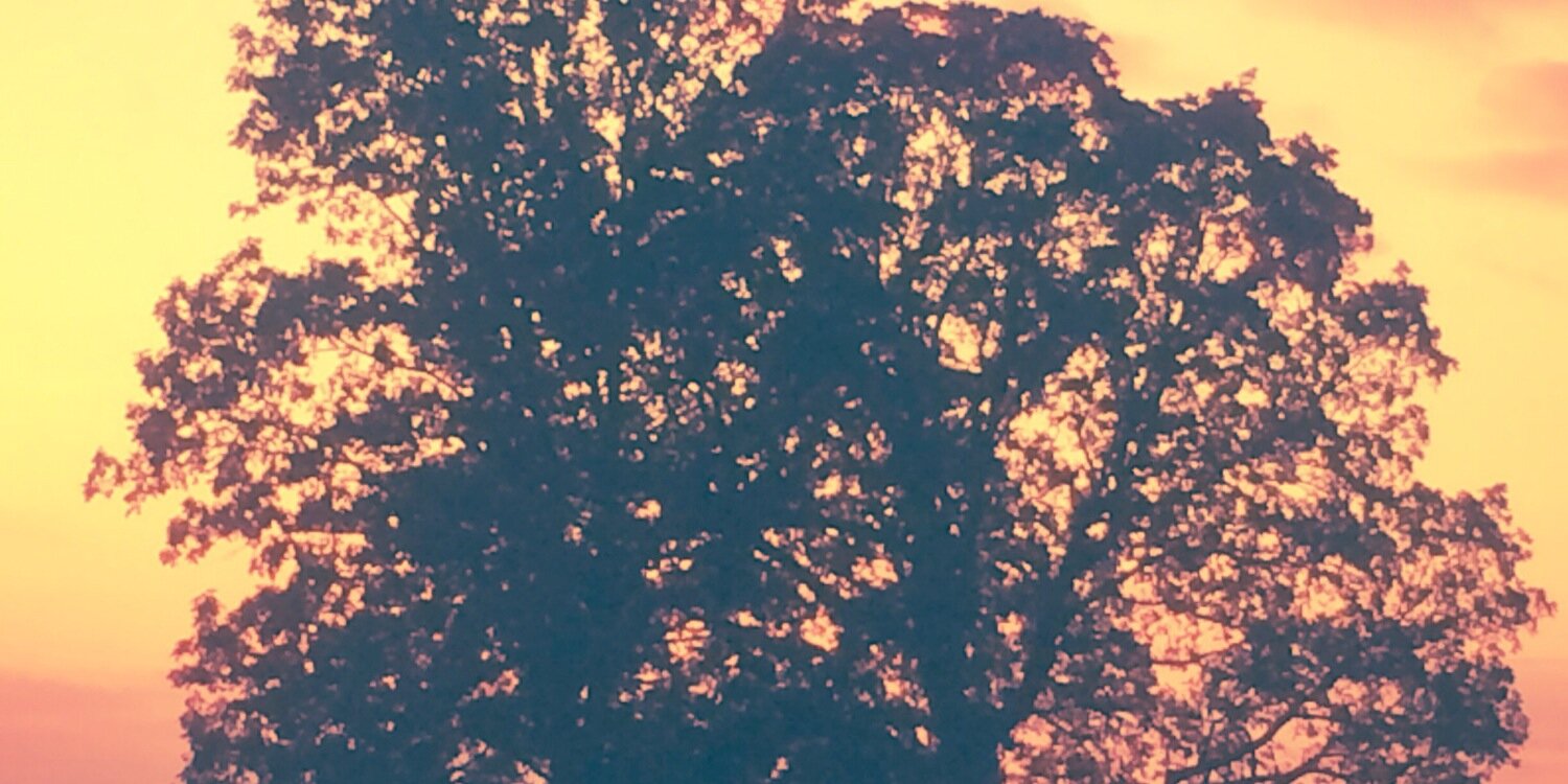 ritz_finy's profile banner image