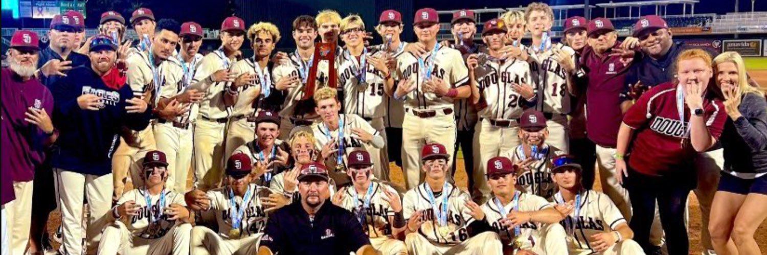 SD Eagles Baseball banner