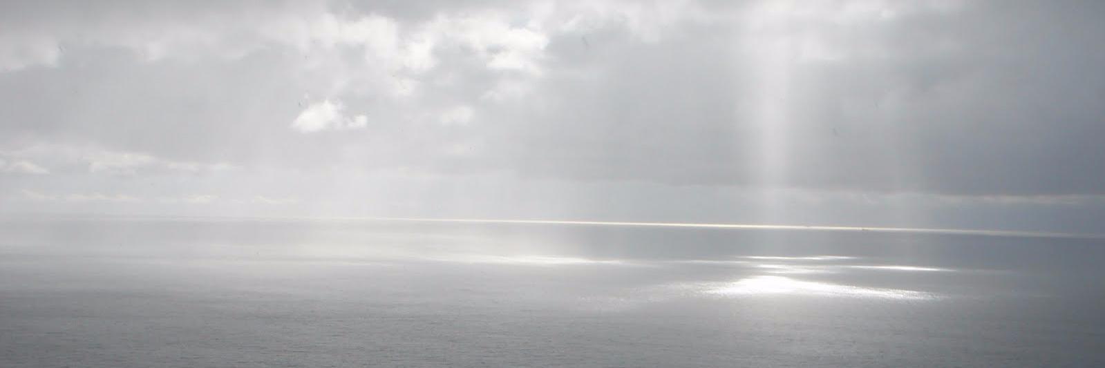 ViviKnst's profile banner image