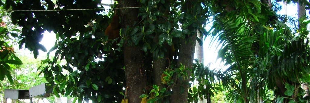 maddude79's profile banner image