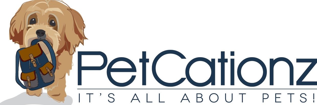 Petcationz's profile banner image