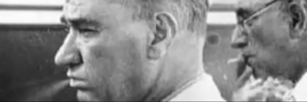 kemoolokko's profile banner image