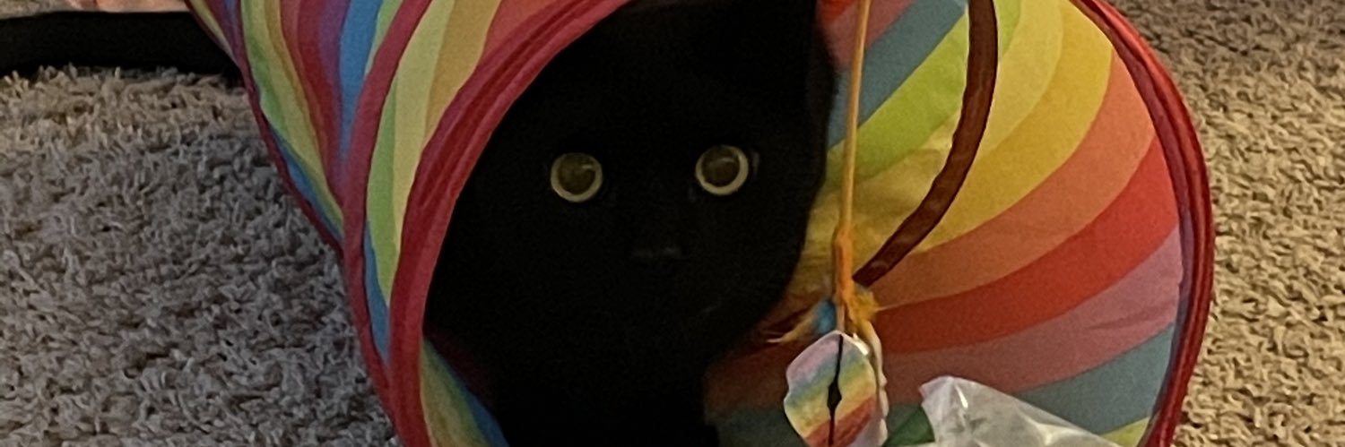MsHlymbicky's profile banner image
