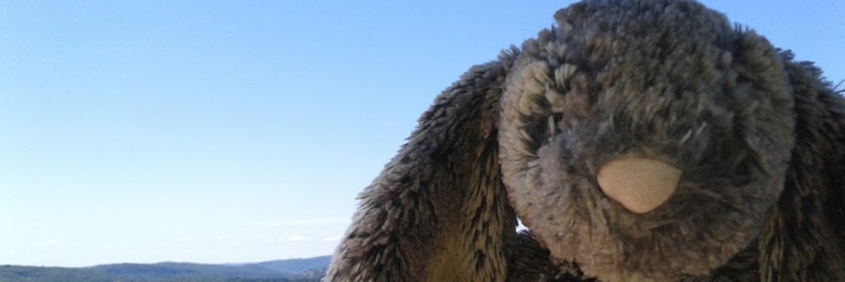 Mrs OR 🇺🇦 banner