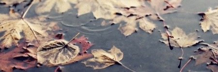rlouuu's profile banner image