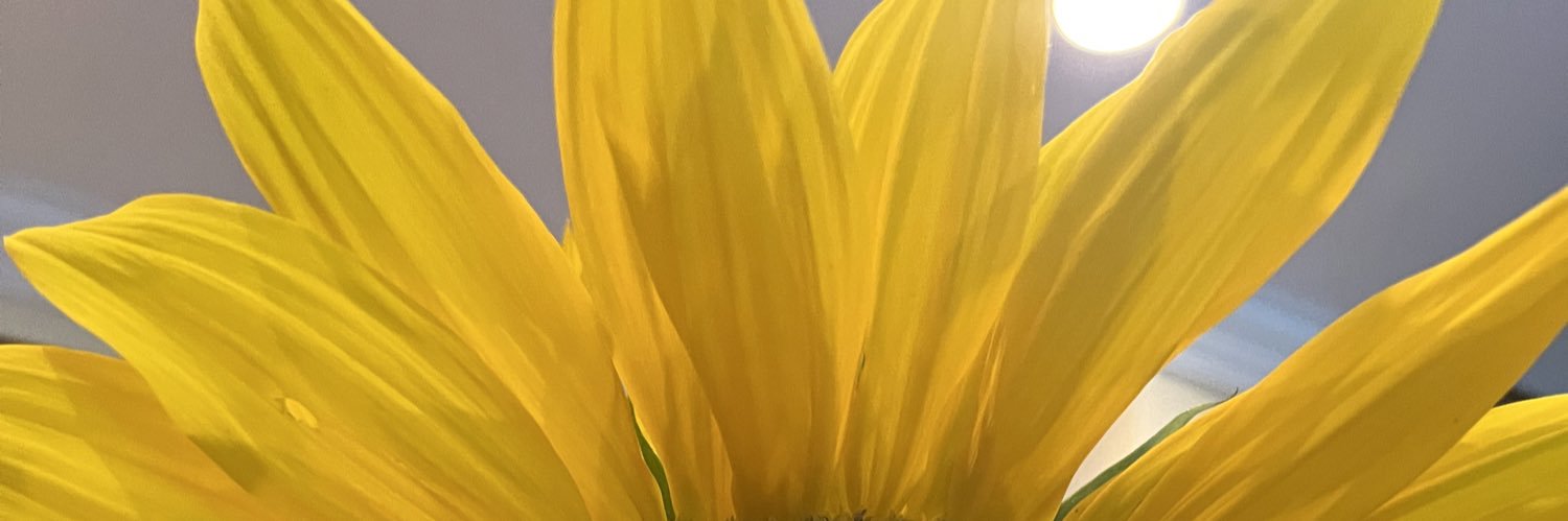 ClareVivasLucas's profile banner image