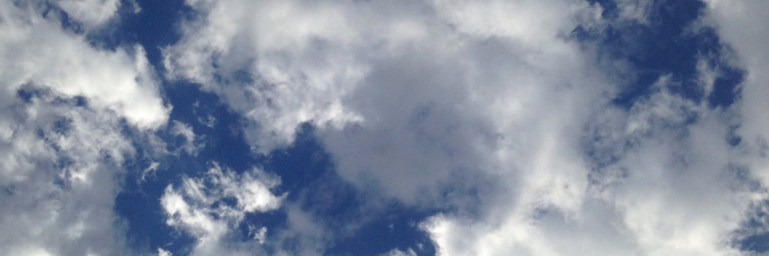 beaebianca's profile banner image