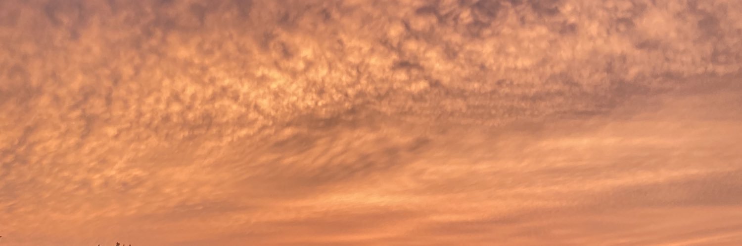 numcakes's profile banner image