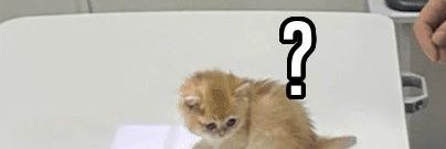 yyyy1472's profile banner image