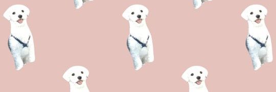 knitting_DunDun's profile banner image