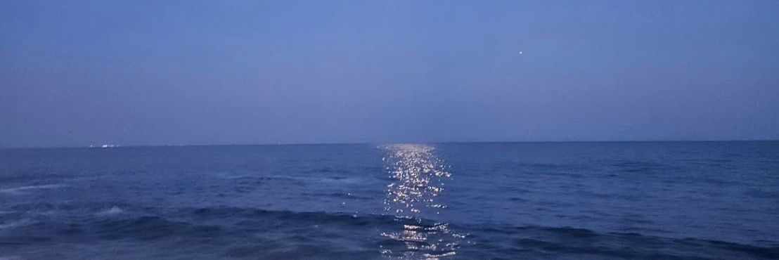 ₊˚𓇼🦭 banner