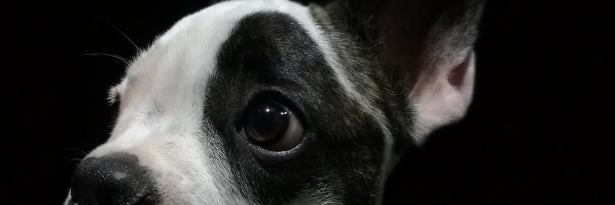 aemamuk's profile banner image