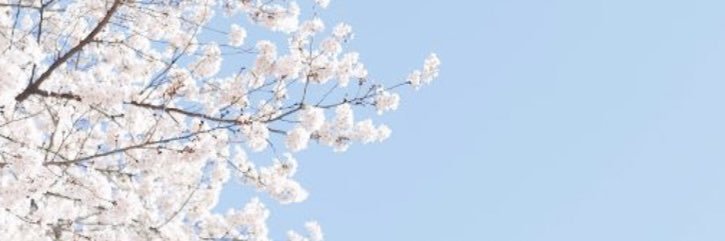 PurplePandaxox's profile banner image
