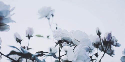 ItsAlexiscsgdr's profile banner image