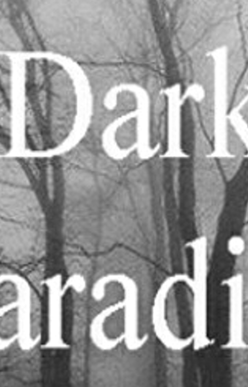 Sha_Kenko's profile banner image