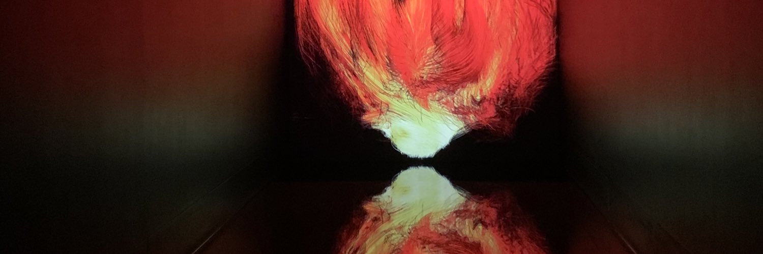 sirodoa63's profile banner image