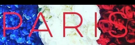 stravoi's profile banner image