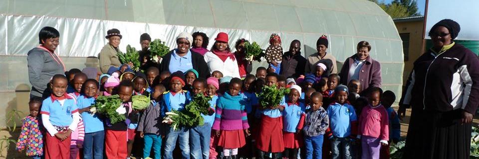 HarvestFuture's profile banner image