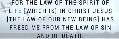adelekelaja's profile banner image