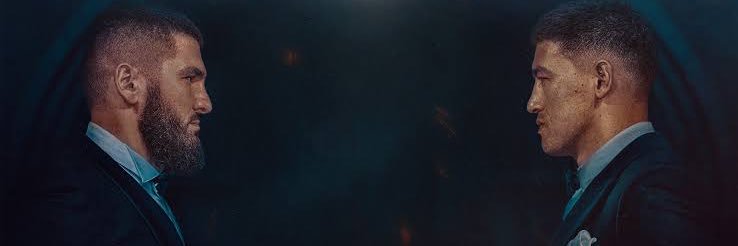 doiru013154's profile banner image