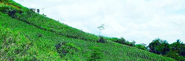 hendar_rusman's profile banner image