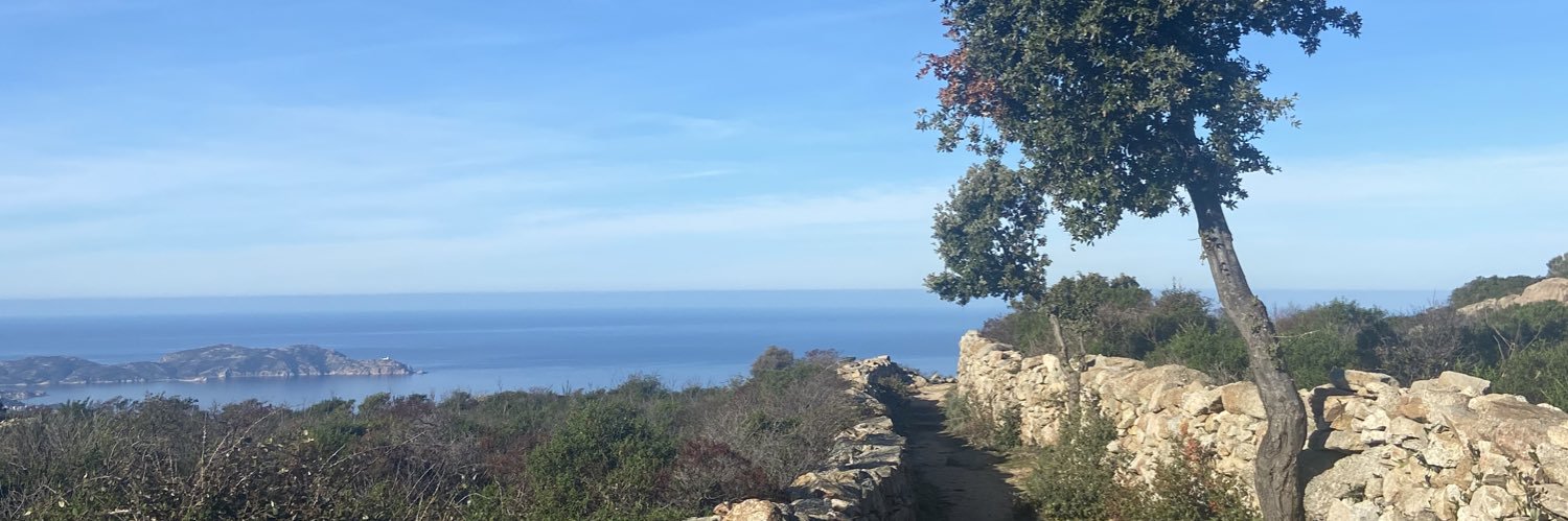 AntoniottiMaria's profile banner image