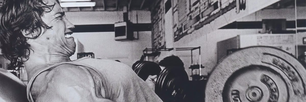 lowiclan_lowi's profile banner image