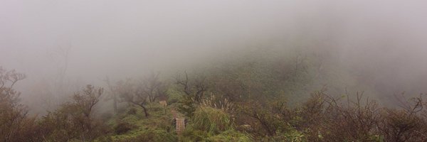 PG_MANA_ Profile Banner