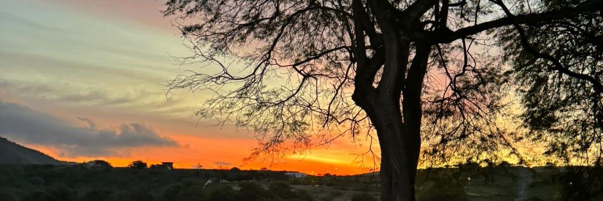 maveriro's profile banner image