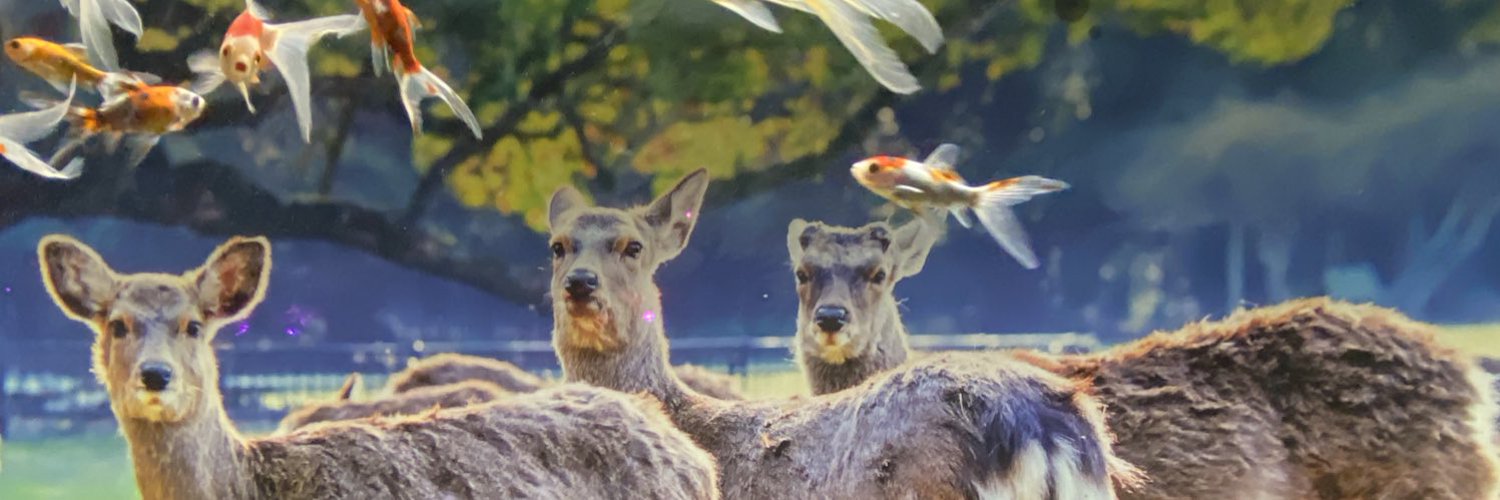 ryochin_man's profile banner image