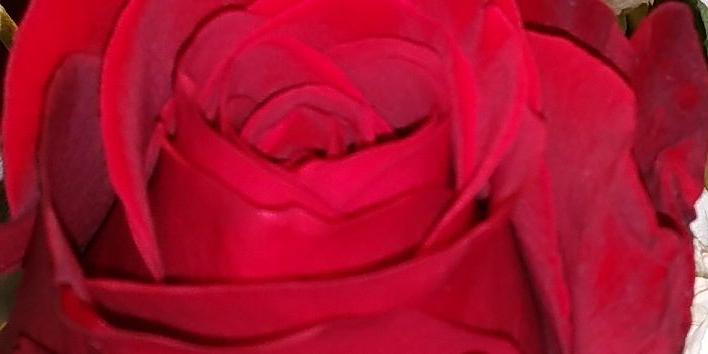 MrsOBrown's profile banner image
