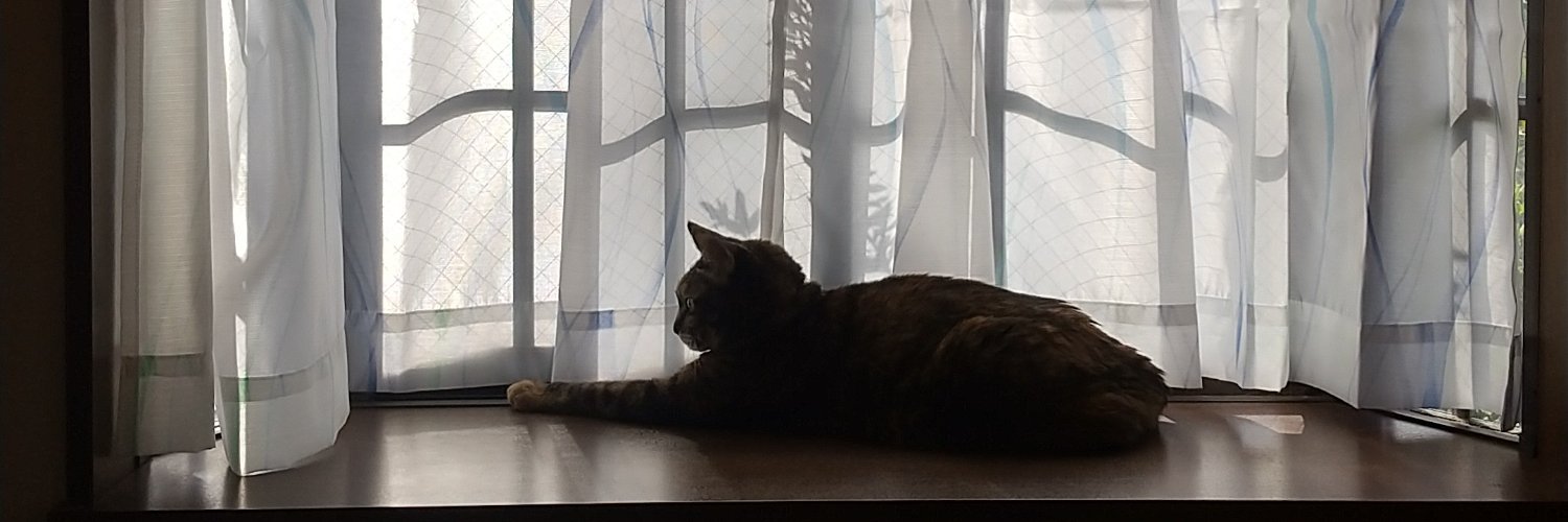 0411mikity's profile banner image