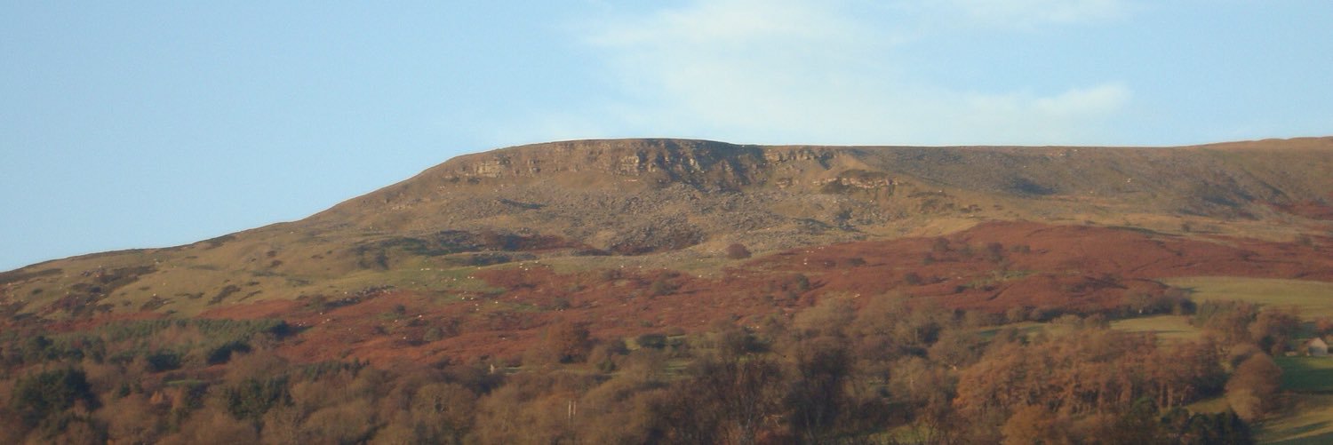 2 Mill Street banner