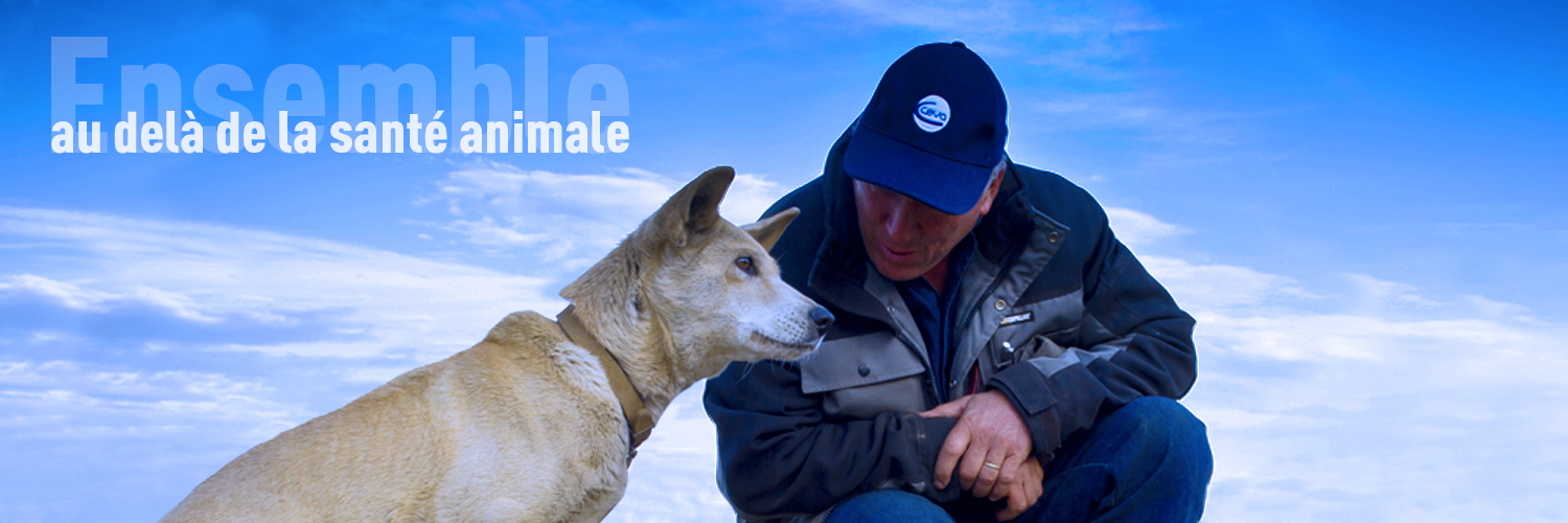 Ceva_Laval's profile banner image