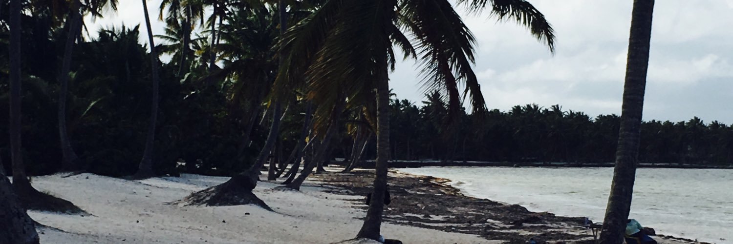 amafurr's profile banner image