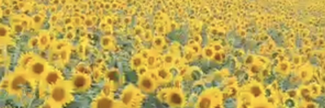 setugetuka1202's profile banner image