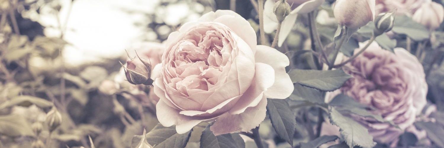 9king1222's profile banner image