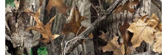 kltimmer's profile banner image