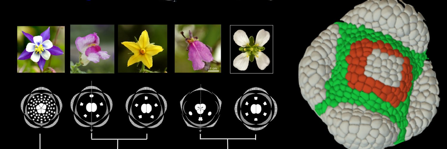 Sainsbury Laboratory Cambridge University (SLCU) banner