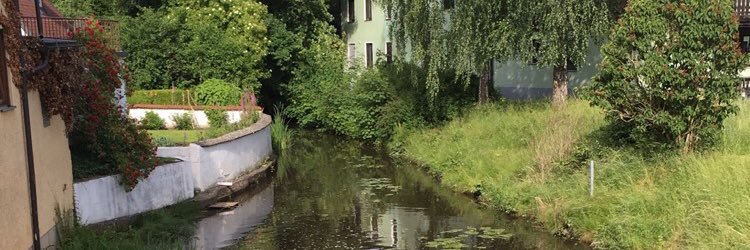 emmm1121's profile banner image