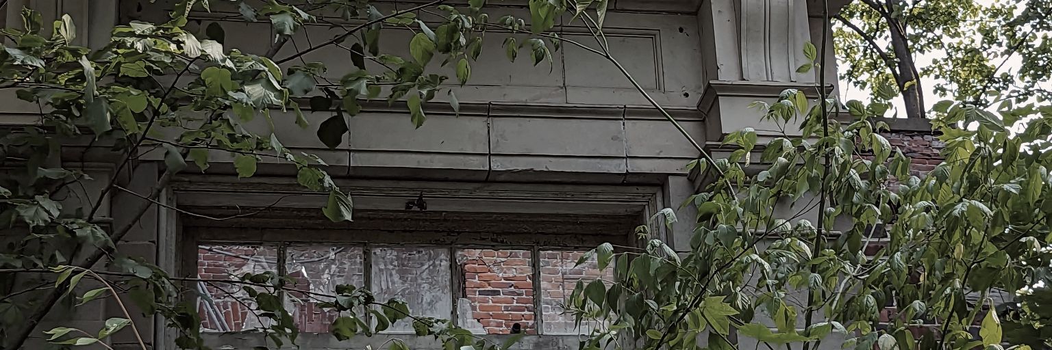 laurizard10's profile banner image