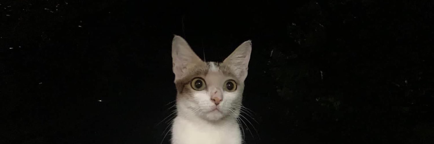 heypardsue's profile banner image