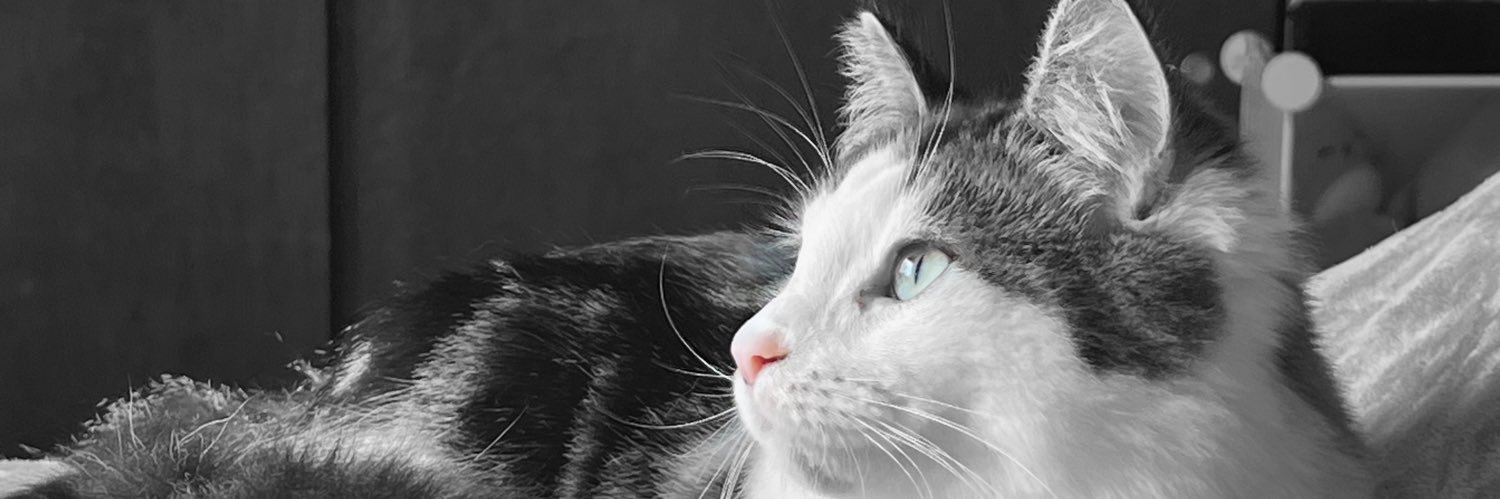 EmilySalvati's profile banner image