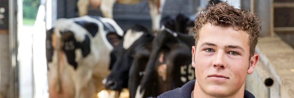 VeeLogistiekNL Profile Banner