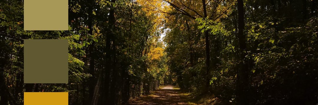 tori_geiger's profile banner image