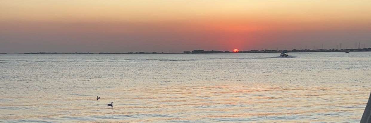 2012_mgh's profile banner image