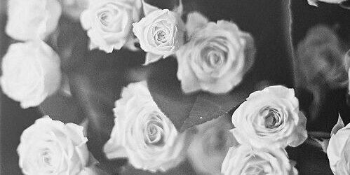 keylagsgdrx's profile banner image